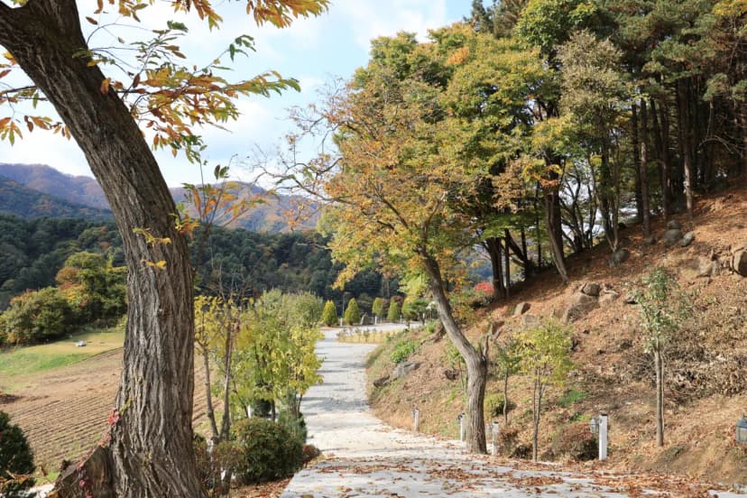 금동휴양림캠프3 사진 11