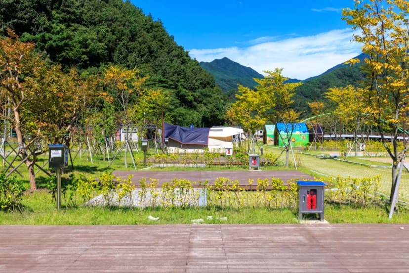 금천계곡 야영장 사진 12