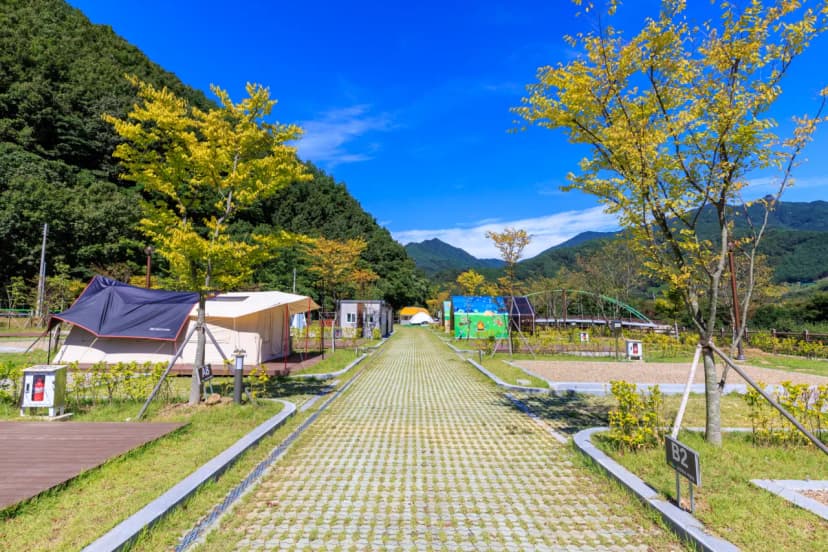 금천계곡 야영장 사진 14