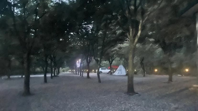 좋은하루캠핑장 사진 9