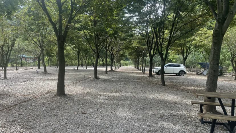 좋은하루캠핑장 사진 13