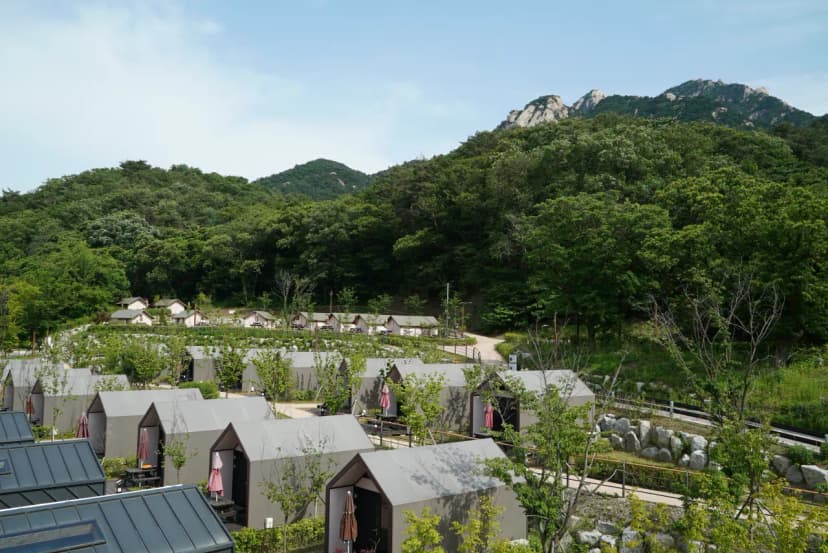 북한산 사기막야영장 사진 15