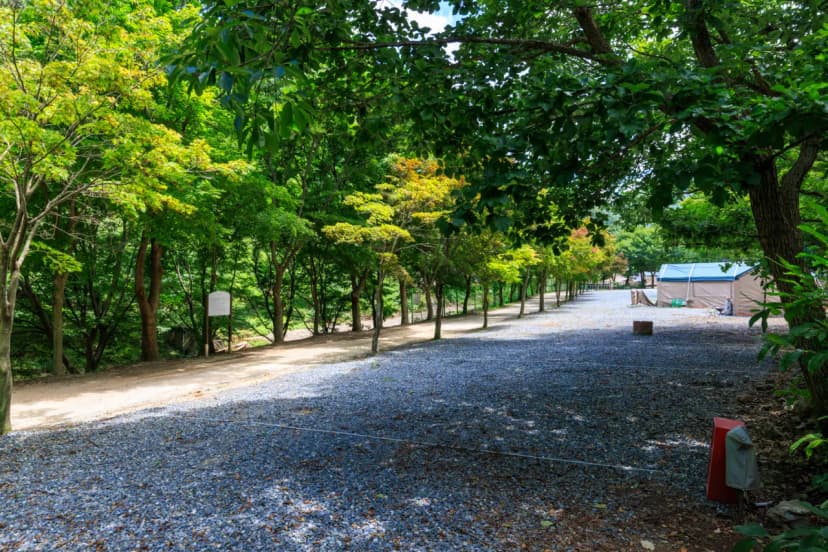벌곡 산속 캠핑장 사진 7