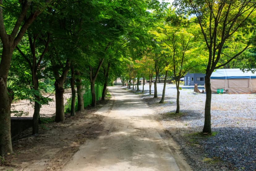 벌곡 산속 캠핑장 사진 8