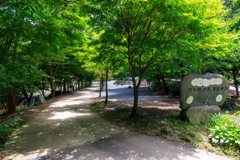 벌곡 산속 캠핑장 사진 11