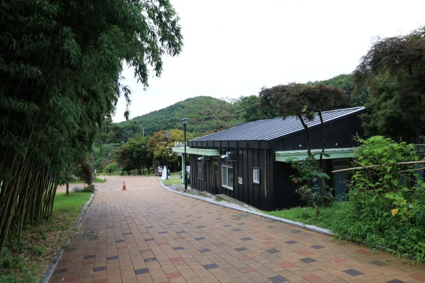 워크안산 피크닉 사진 16