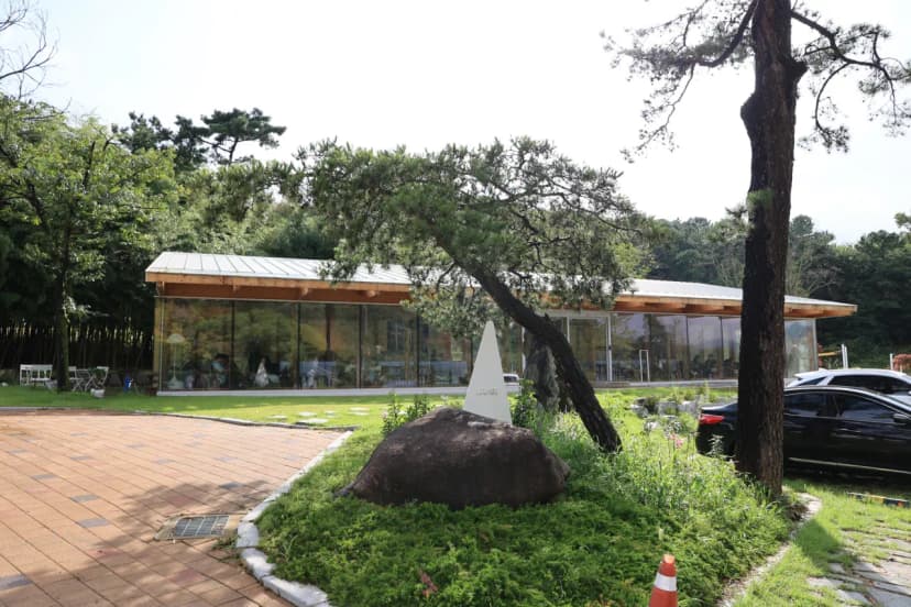워크안산 피크닉 사진 20