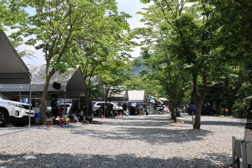 원주 우리 캠핑장 사진 7