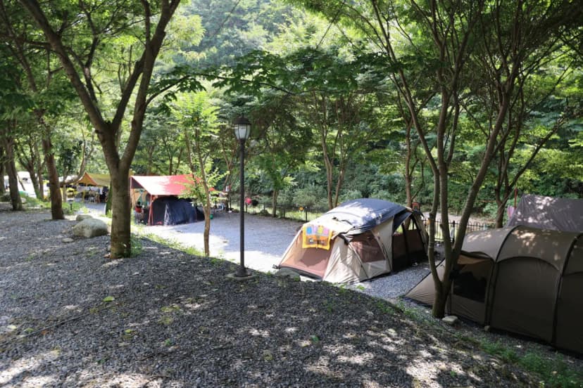 원주 우리 캠핑장 사진 8