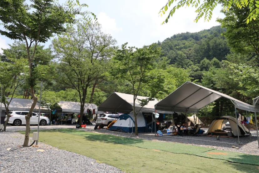 원주 우리 캠핑장 사진 20