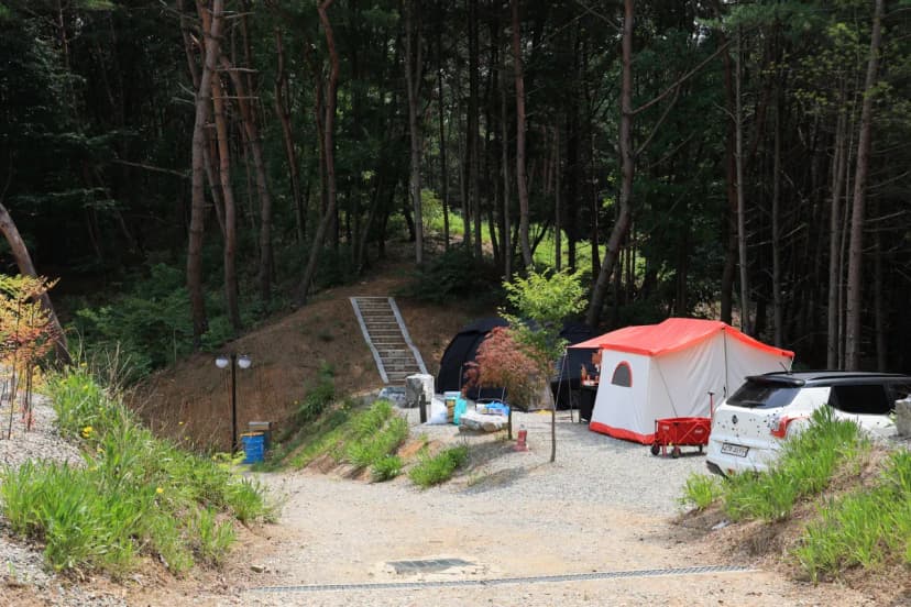 푸르른 캠핑장 사진 16