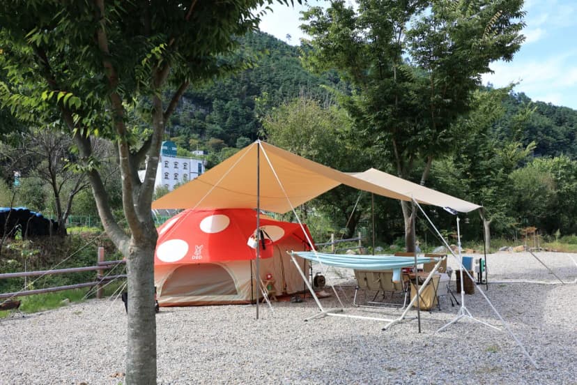 라만차의 돈키호테 캠핑장 사진 12