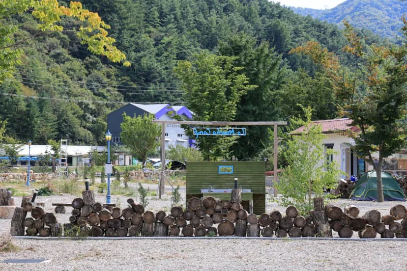 라만차의 돈키호테 캠핑장 사진 18