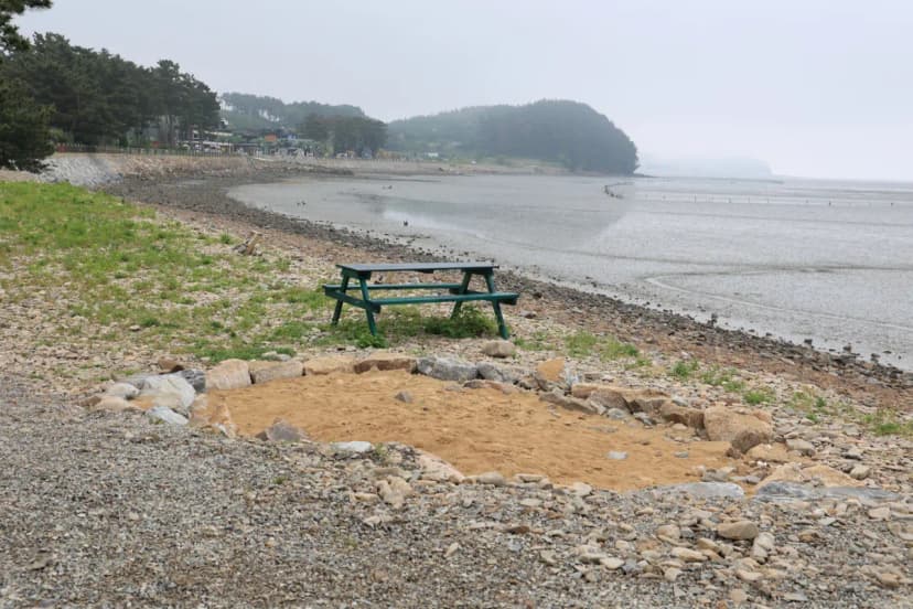태안머드오토캠핑 사진 14