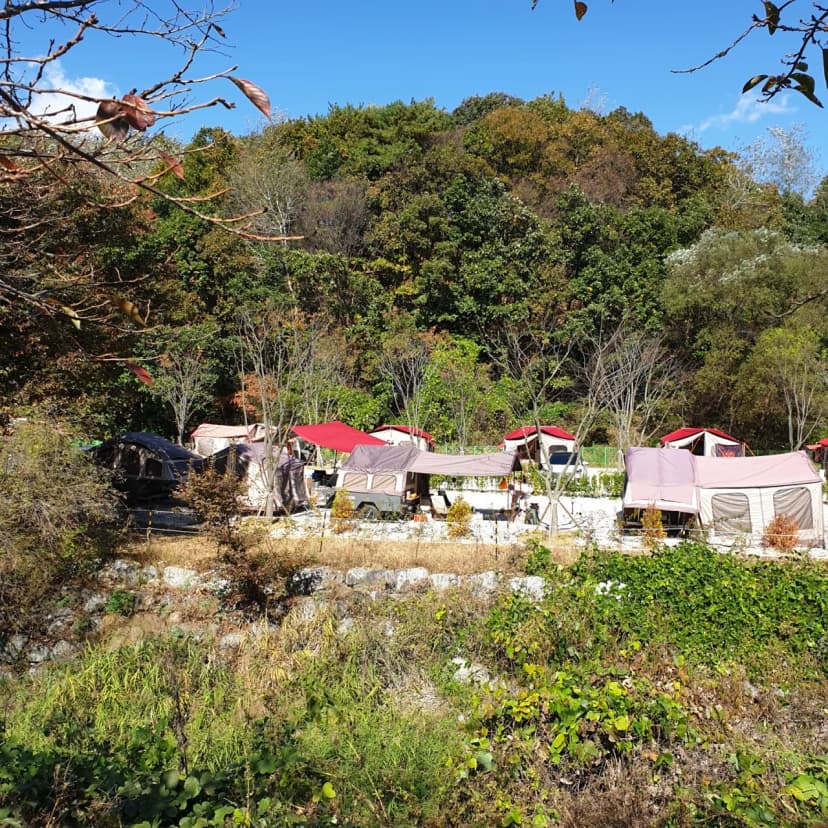 캠핑7604 사진 18