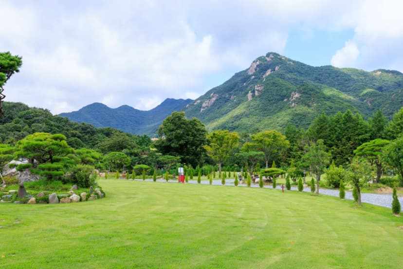 동학사힐링캠핑장 사진 10