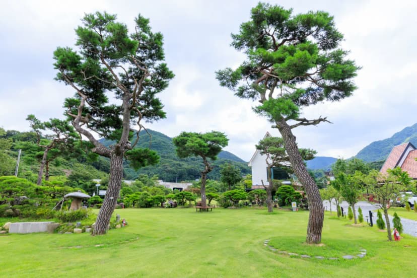 동학사힐링캠핑장 사진 14