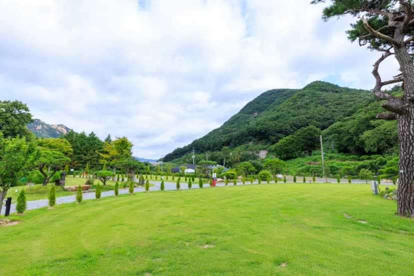 동학사힐링캠핑장 사진 17