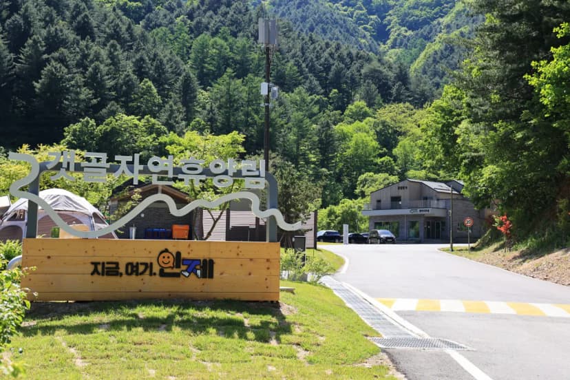 갯골자연휴양림 야영장 사진 4