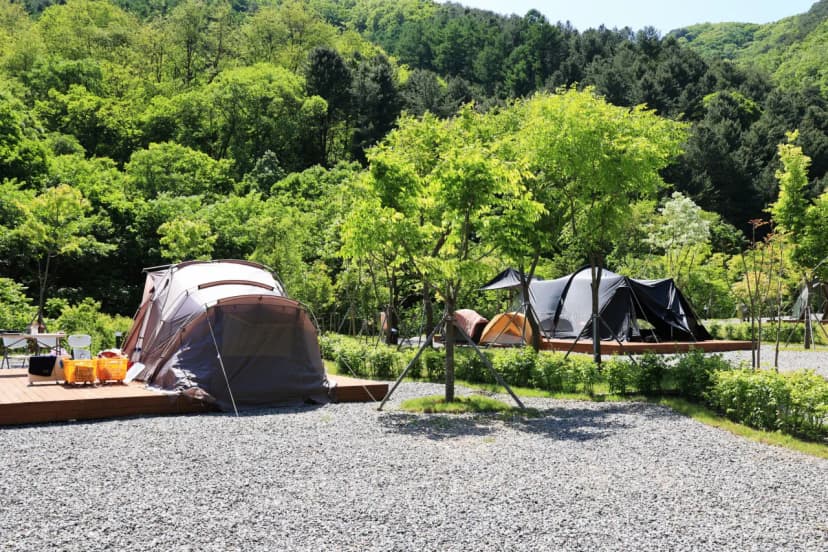 갯골자연휴양림 야영장 사진 13