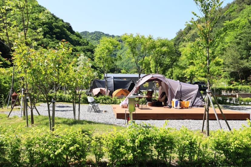 갯골자연휴양림 야영장 사진 14