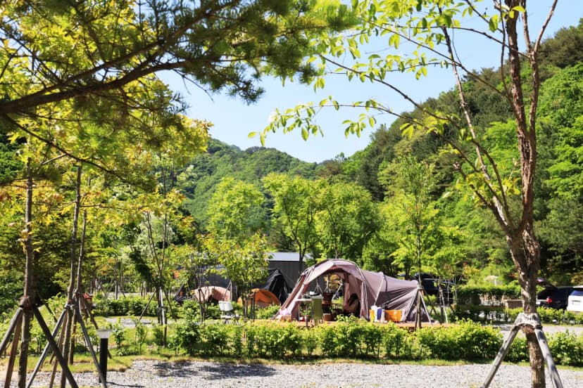 갯골자연휴양림 야영장 사진 16