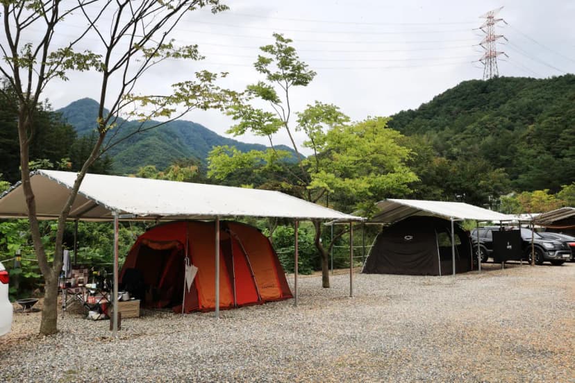 횡성 태기산 별밤 캠핑장 사진 11