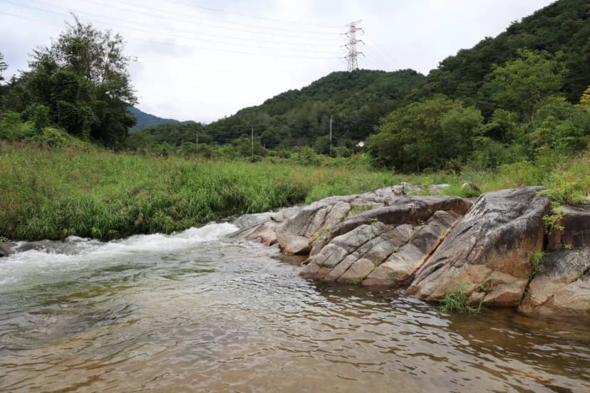 횡성 태기산 별밤 캠핑장 사진 15