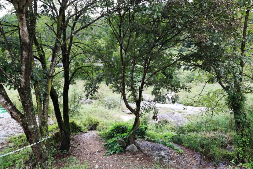 횡성 태기산 별밤 캠핑장 사진 19