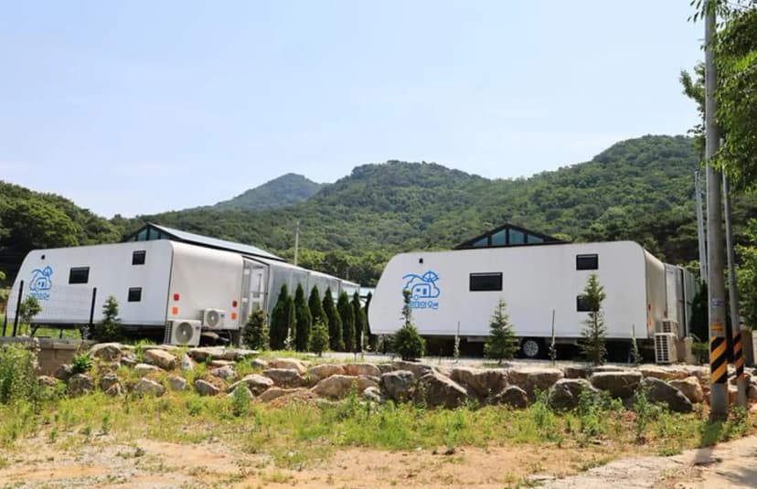 구르미의 오션 사진 3