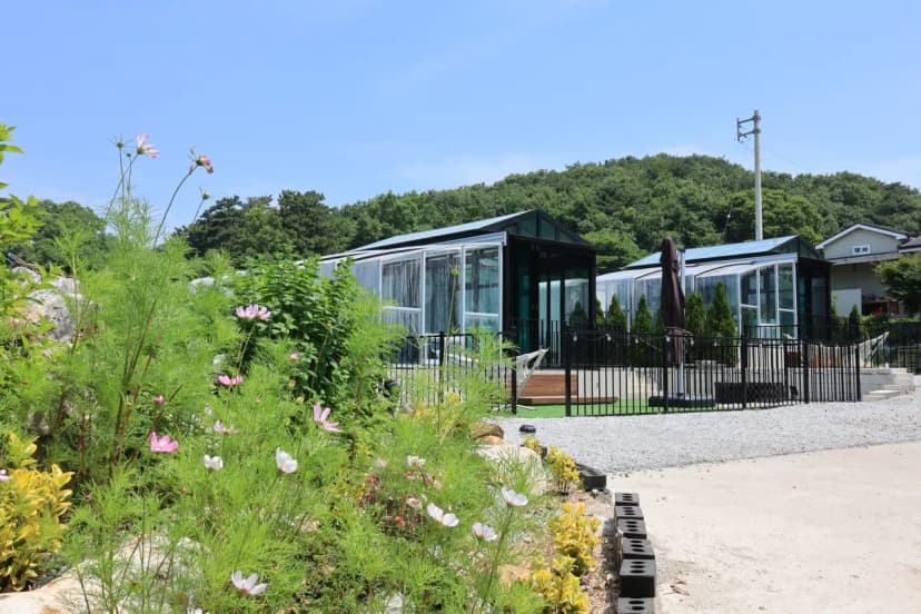 구르미의 오션 사진 13