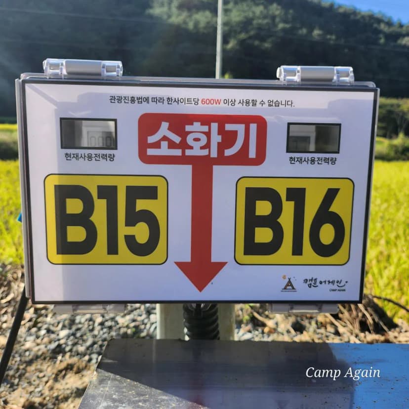 캠프어게인 사진 14