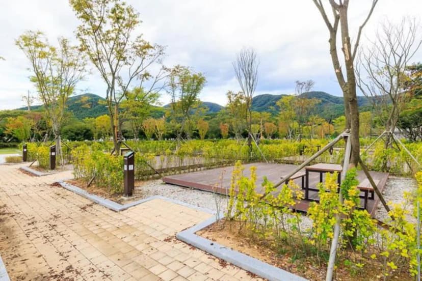 내장산국립공원 내장호야영장 사진 3