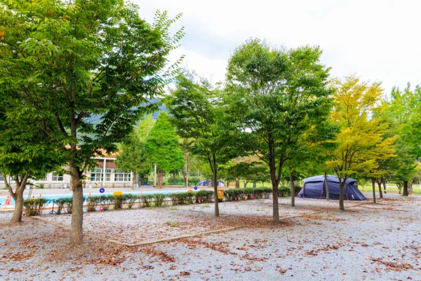 파랑새 캠핑장 사진 8
