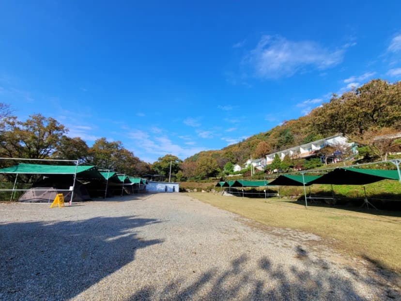 산수향 야영장 사진 8