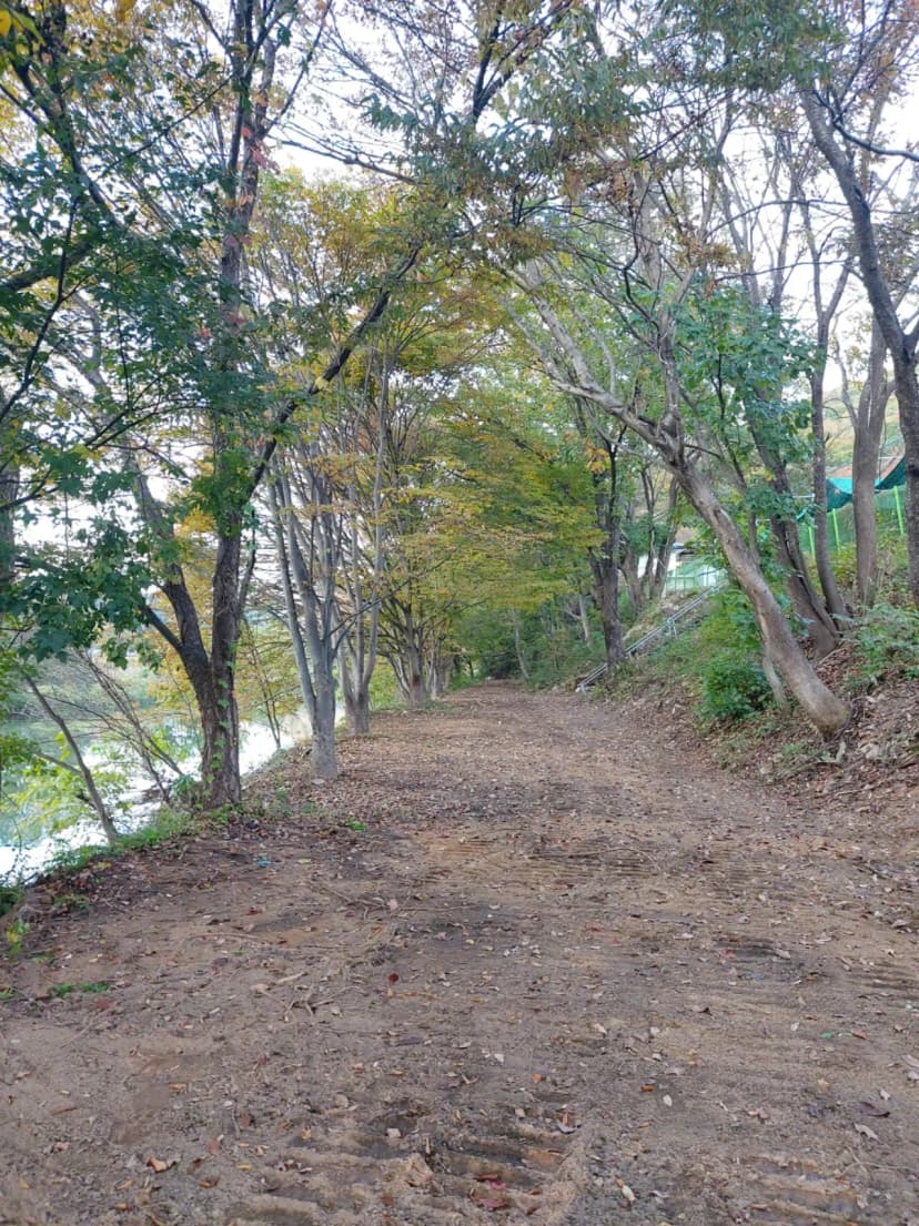산수향 야영장 사진 10