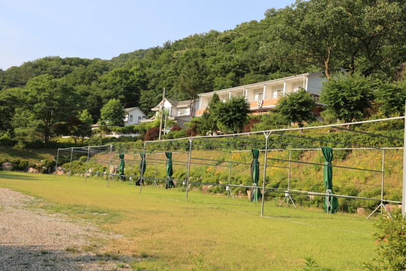 산수향 야영장 사진 14