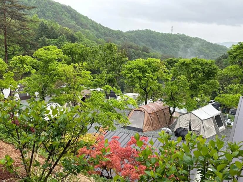 소구니캠핑장 사진 3