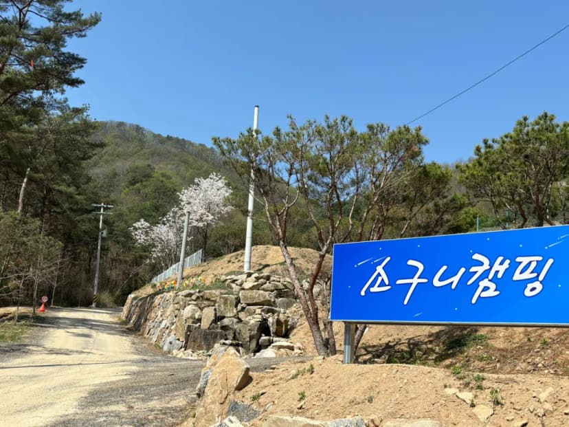 소구니캠핑장 사진 13