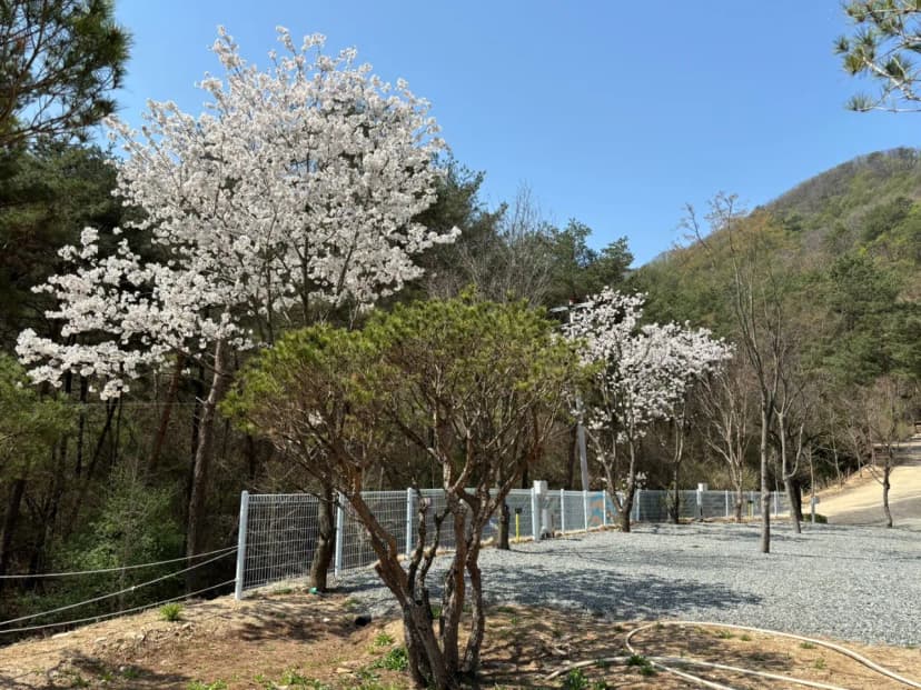 소구니캠핑장 사진 14