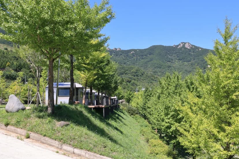 황매산 숲속야영장 사진 8