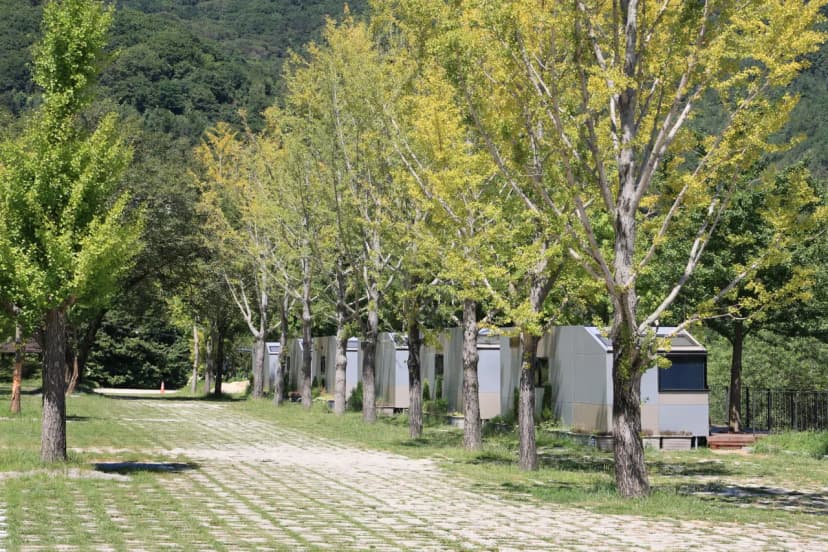 황매산 숲속야영장 사진 11