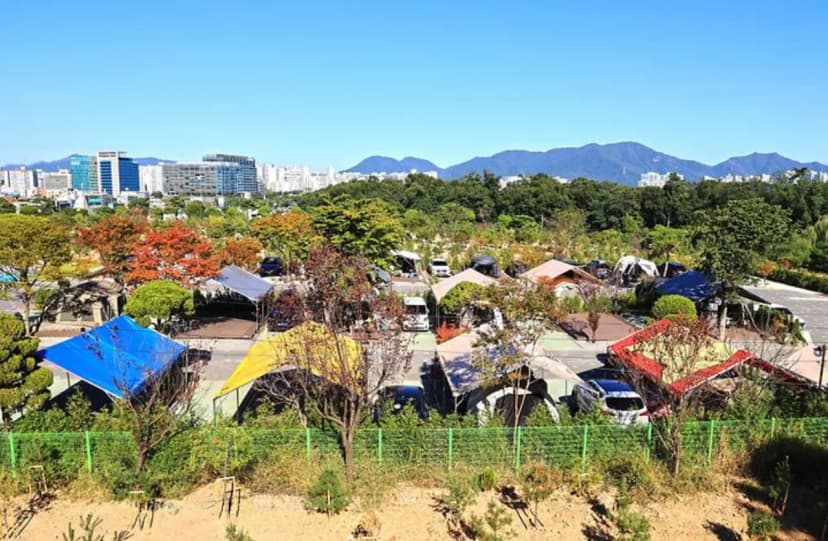초이휴캠핑장 사진 3