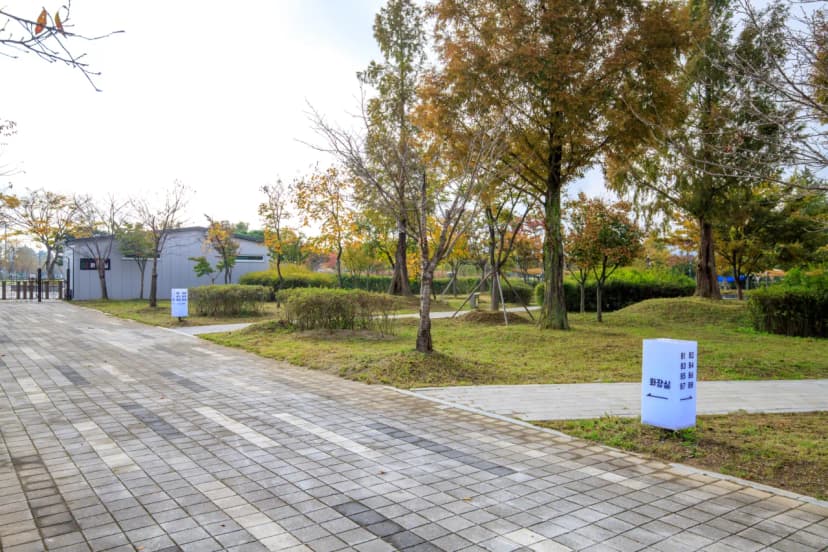 탄금호 피크닉 공원 사진 8