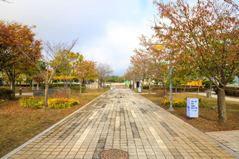 탄금호 피크닉 공원 사진 11