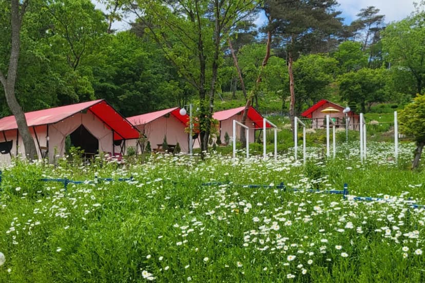 화순정원글램핑관광농원 사진 9