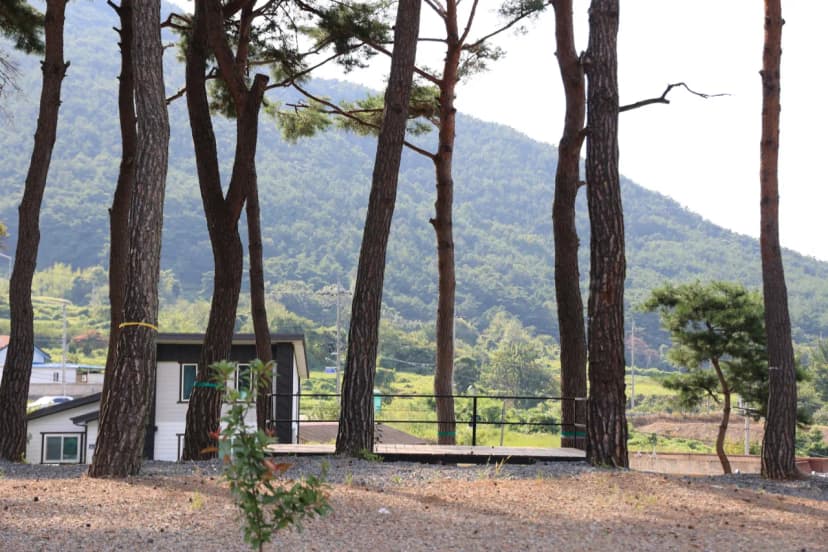 초록여울 캠핑장 사진 10