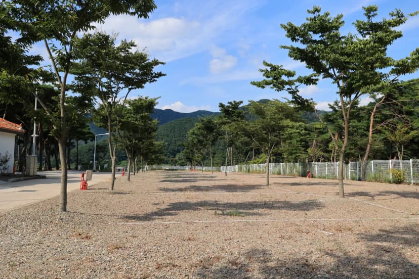 초록여울 캠핑장 사진 11