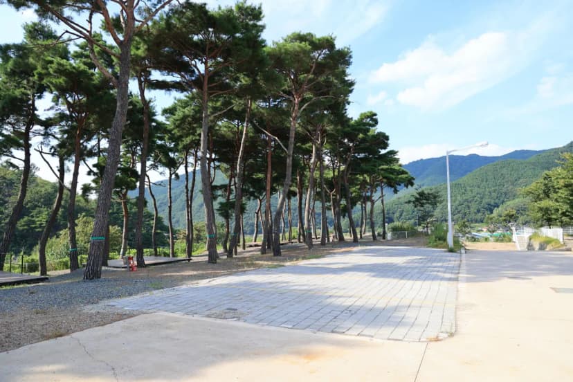 초록여울 캠핑장 사진 13