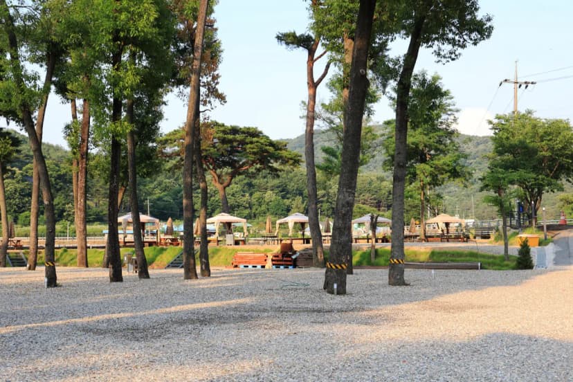 칠봉 송정 캠핑장 사진 13